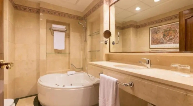Полулюкс Standard Dorma Reina Isabel
