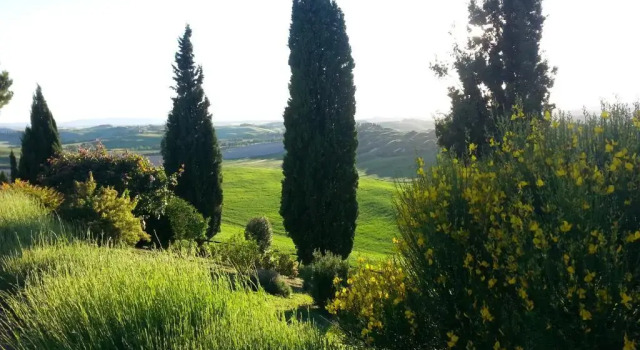 Апартаменты Tuscany Balcony: Crete Senesi