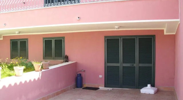 Lucertola, Book Hotel Santa Teresa Gallura Emerald Coast