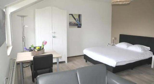 Студия Appartementen De Zegelskoël