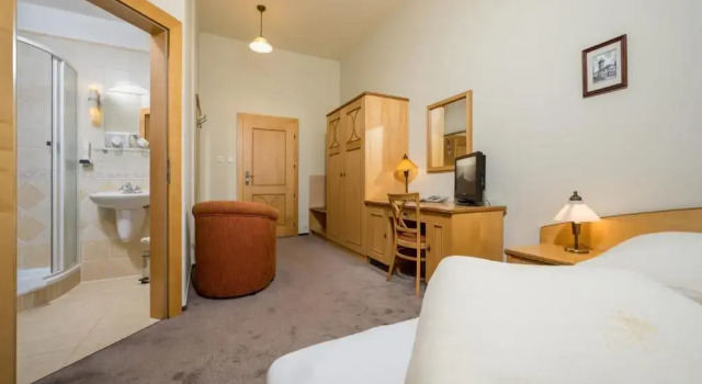 Номер Standard Hotel Zlaty Lev