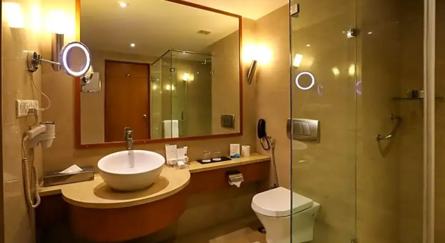 Двухместный номер Standard Radisson Blu Hotel Chennai City Centre