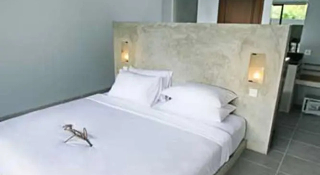 Двухместный номер Standard The Grey Boutique Inn