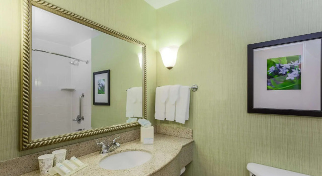 Четырёхместный номер Standard с видом на горы Hilton Garden Inn Anchorage