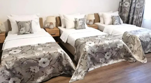 Трёхместный номер Deluxe Hotel N