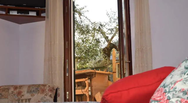 Номер Standard Agriturismo Il Sogno