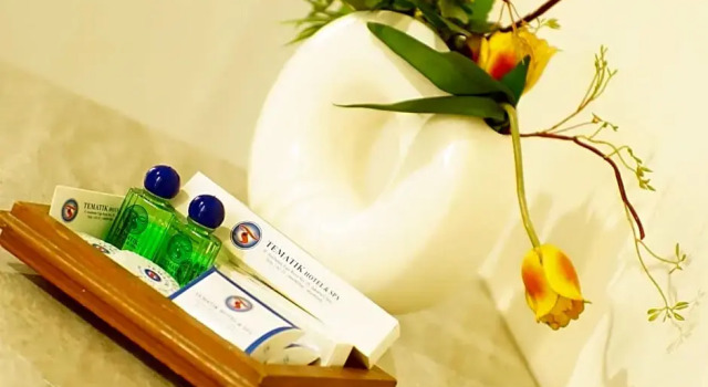 Двухместный номер Standard Tematik Hotel Pluit