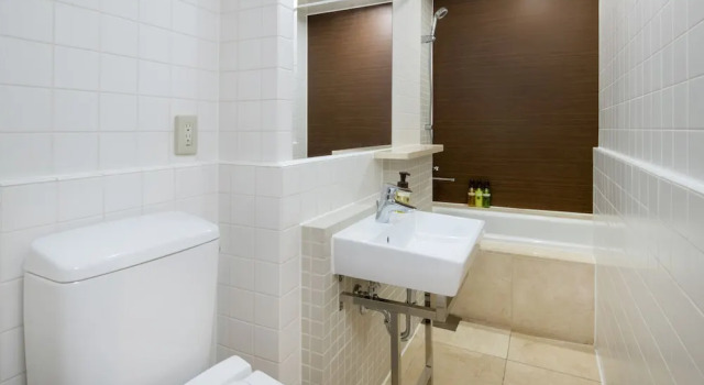 Двухместный номер Standard Отель Mystays Nishi Shinjuku