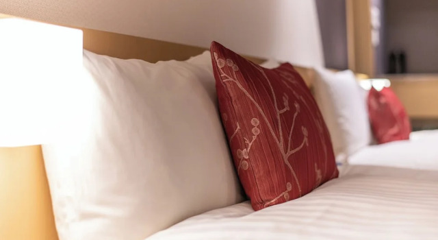 Двухместный номер Deluxe Hotel Vista Kanazawa