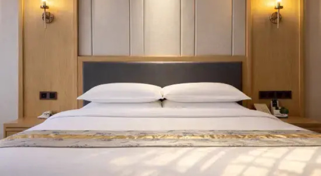 Люкс Deluxe Falaide International Hotel