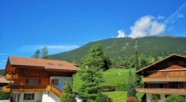 Полулюкс Hotel Gletscherblick