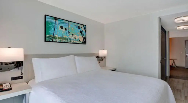 Трёхместный полулюкс Hilton Garden Inn Jacksonville Orange Park