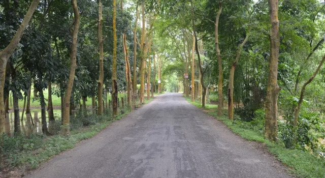 Lawachara Eco Cottage, Prenota Casa vacanze Sylhet Bangladesh