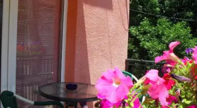 Vila Amazon, Buchen Sie Pension Kragujevac Zentralserbien