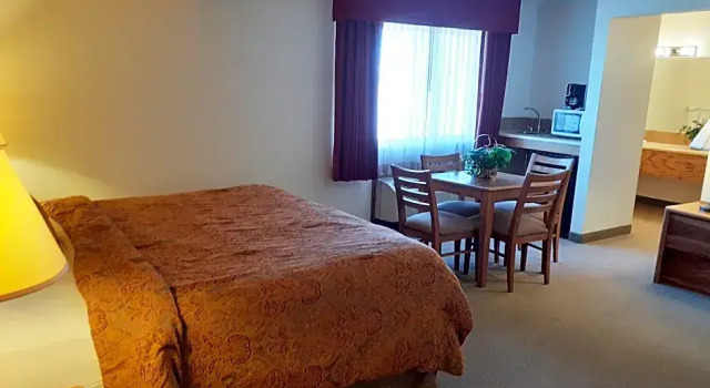 Premium Zimmer Single Tree Inn