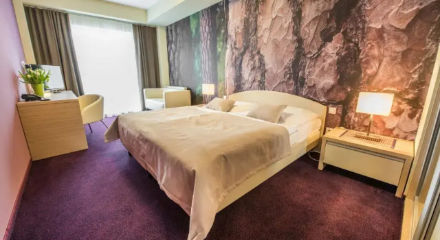 Номер Standard Hotel Slovan