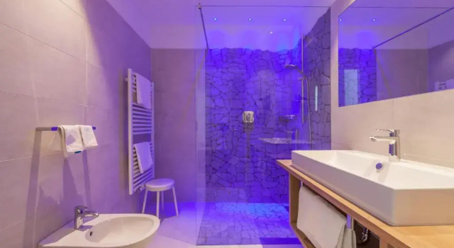 Номер Deluxe Hotel Schopfenhof