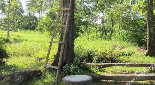 Balai Cagayano, Buchen Sie Hotel Santa Ana Cagayan Valley