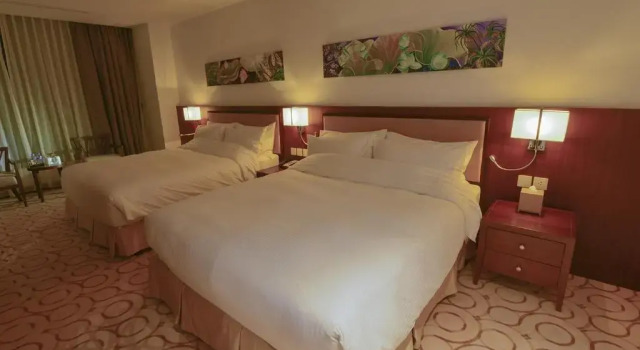 Номер Deluxe Aristo International Hotel