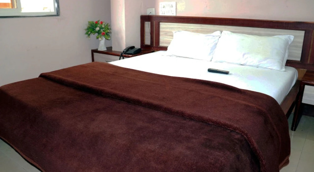 Номер Standard Hotel Raj Palace