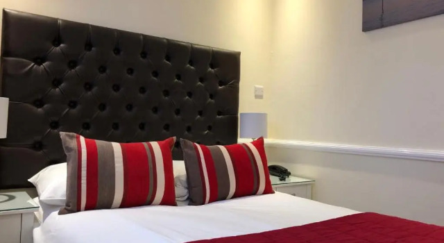 Одноместный номер Standard Camelia Hotel