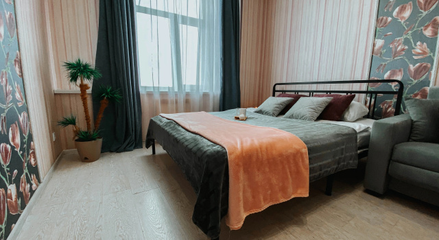 Апартаменты Deluxe с красивым видом из окна Апартаменты с видом на Волгу в центре города