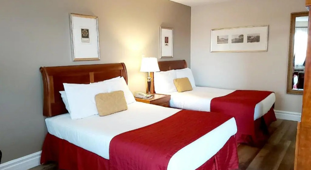 Четырёхместный номер Standard Seelys Motel