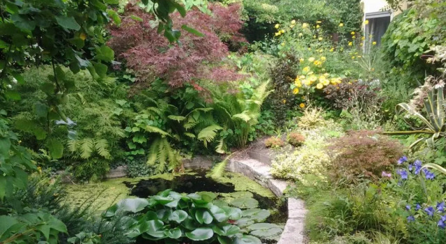 Коттедж Gartenhaus Steffie