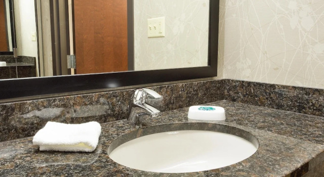 Номер Standard Drury Inn & Suites Greensboro