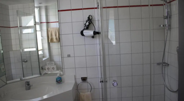 Двухместный номер Standard Hotel Rebstöckle