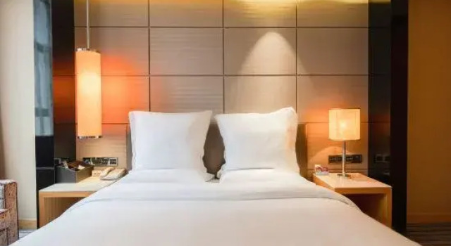Люкс Executive Power Hotel