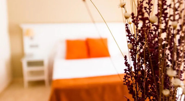 Двухместный номер Standard Hotel Pradillo Conil