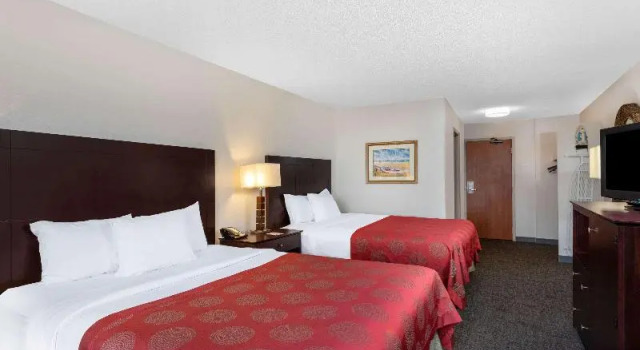 Двухместный номер Standard 88 Palms Hotel & Event Center