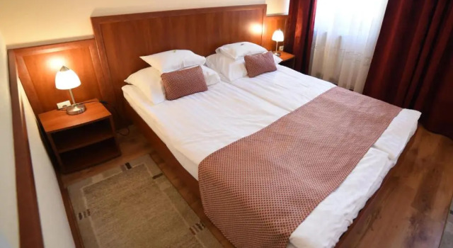 Двухместный номер Standard Hotel Pannonia