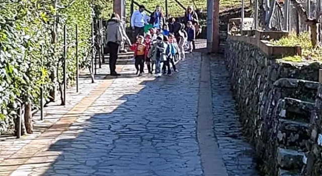 TENUTA MARTINO, Prenota Hotel Hotel a Cilento con piscina, Piscina