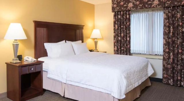 Standard- værelse Hampton Inn Schenectady