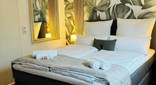 Двухместные апартаменты Deluxe Rema Homes Bad Bellingen