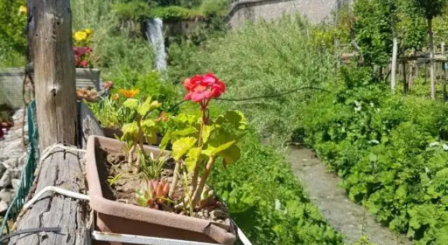 Коттедж Casa Nonna Anna