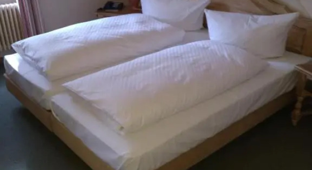 Двухместный номер Standard Landhotel Hirsch