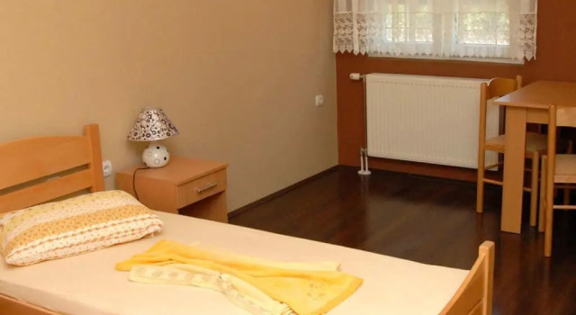 Номер Standard Guest house Vila Bor