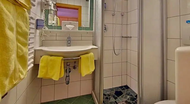 Номер Standard Hotel Pension Geiger