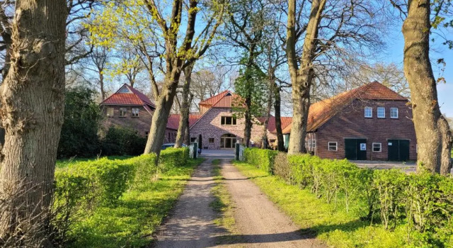 Номер Standard Hotel Lethehof