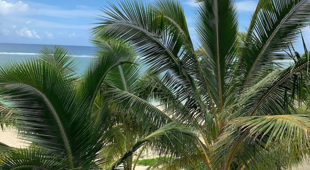Villa Rarotonga Villas Absolute Beachfront