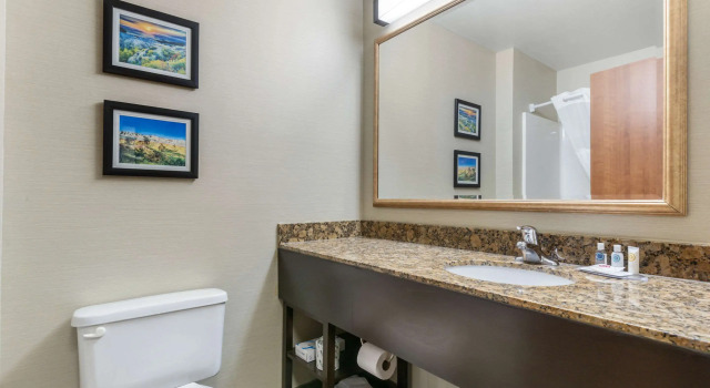 Двухместный люкс Comfort Inn & Suites