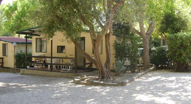 Номер Standard Camping Village Riviera
