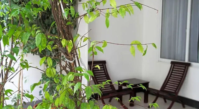 Номер Superior Skyline Boutique Hotel
