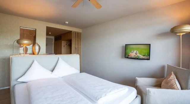 Двухместный номер Superior с видом на озеро Sonne Seehotel