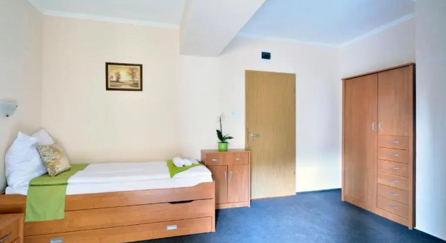 Номер Standard Viktória Wellness Hotel