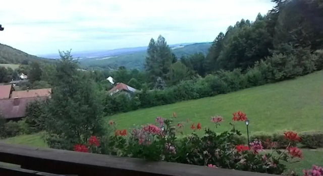 Одноместный номер Standard с балконом Gasthof Diewald