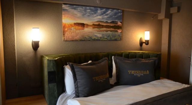 Двухместный номер Standard Tekirdag Boutique Otel